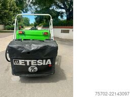  Etesia H124D Profi Aufsitzmäher