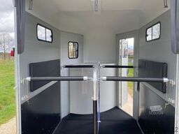 CHEVAL LIBERTE Touring Jumping