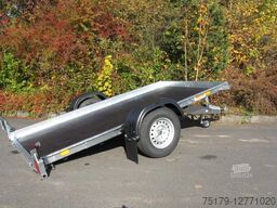  Sofort Universaltransporter kippbar 305x166cm 1300 kg