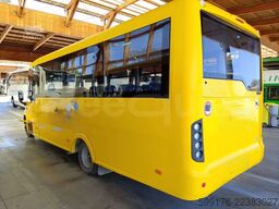 Iveco Indcar Wing