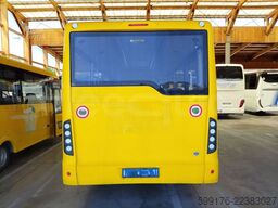 Iveco Indcar Wing