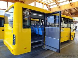 Iveco Indcar Wing