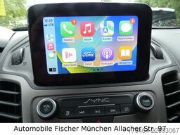 FORD Transit Connect Kasten Xenon Durchlade Sortimo