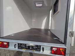 trailershop Sport Transport Camp 320cm midi direkt