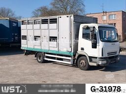 IVECO ML 1Q Viehtransporter 1 Stock