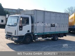 IVECO ML 1Q Viehtransporter 1 Stock