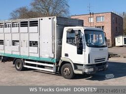 IVECO ML 1Q Viehtransporter 1 Stock