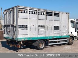 IVECO ML 1Q Viehtransporter 1 Stock