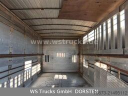 IVECO ML 1Q Viehtransporter 1 Stock