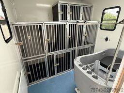 MERCEDES-BENZ FUSO 8 180  TT-S Hundetransporter  Pop-Out