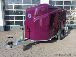 Cheval Liberté Debon Polycargo 1300  Seitentür violet direkt