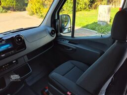 MERCEDES-BENZ 8 x 517 Sprinter Lord Light  22 SS Aktionspreis