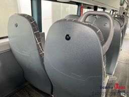 Scania Fencer F1 LE 12,2m, sofort verfügbar - Neufahrzeu