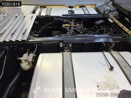 MAN TGX 18.510 TGX 4X2 Individual Lion S! GX Retard...