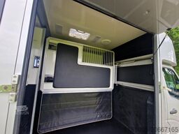 Opel Movano Occasion paardenwagen AKX Opel Movano he...