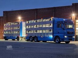 MAN TGX 26.440 6x2*4 - 3 deck Livestock - Water & V...