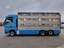 MAN TGX 26.440 6x2*4 - 3 deck Livestock - Water & V...