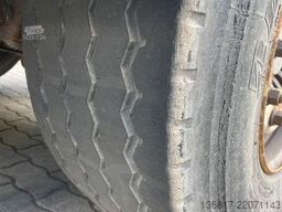  Fellechner SC31-L39 Stahltra Lenkachse x2 Edscha