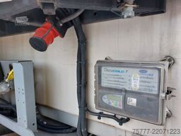 CHEREAU CSD-Tiefkühlauflieger-Carrier-SAF-Rohrbahnen