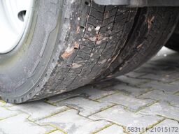 DAF XF 480 / SUPER SPA XF 480 CE CAB / I-PARK COOL /