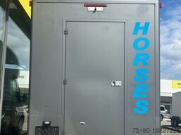 OPEL Movano 2,3D  MSG-Pferdetransporter 3,5to, Autom.