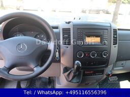 MERCEDES-BENZ Nr. B75 Sprinter 516CDI 4X4 2.Hand / rre
