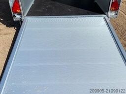 CHEVAL LIBERTE C 300