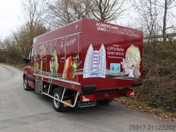 MERCEDES-BENZ Sprinter 311  Euro 6 Cold Car -33°C ATP 03/29