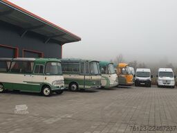 MERCEDES-BENZ Ernst Auwärter Teamstar Vario 814 H Kennzeichen
