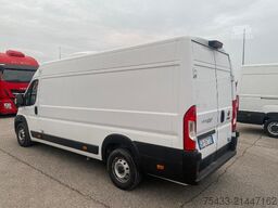 Fiat DUCATO ISOTERMICO + FRIGO
