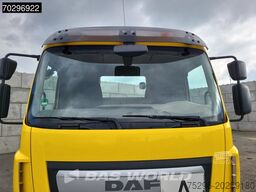 DAF LF 250 4X2 8Tons Gergen Skiploader Manual Euro 6