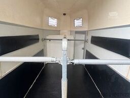 HUMBAUR Rapid Plus Pferdeanhänger 2t SK Holz/Poly