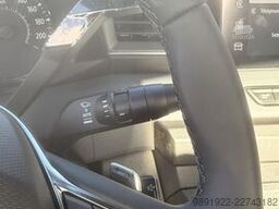 porte voiture 3.5kg+remorque gala3.5kg Renault master automatique  2.0l 170ch