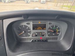 Mercedes-Benz Axor