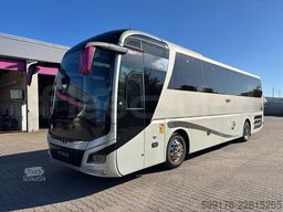 Man Lion's Coach