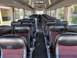Man Lion's Coach