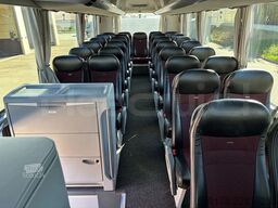 Man Lion's Coach