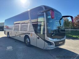 Man Lion's Coach