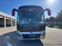 Man Lion's Coach