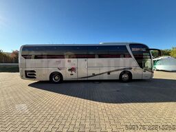 Man Lion's Coach