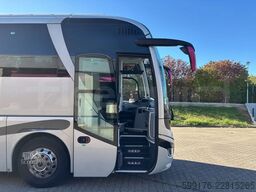 Man Lion's Coach