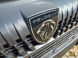 PEUGEOT Boxer 9 Sitzer Airline Boden Ducato Movano