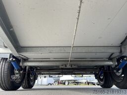 andere TF5 Pico Pferdeanhänger