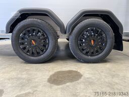 Böckmann Champion Esprit P MSS Pferdeanhänger