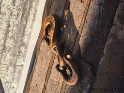 Mol MOL CY NV 1214/20T/37 Palfinger PK44002