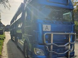 DAF FT XF inkl. 86er STAS Kippmulde