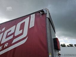 FLIEGL SDS 390