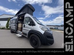 ROBETA Apollo 165 PS Top Umbau!! Fahrwerk/Energie/+++