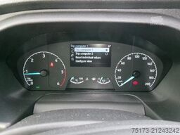 FORD Transit 350L3H2 Trail Kombi 4x4 Stndhz 9Sitz Kam