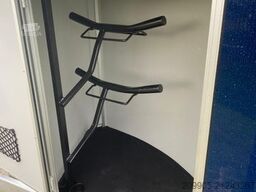 CHEVAL LIBERTE Origins